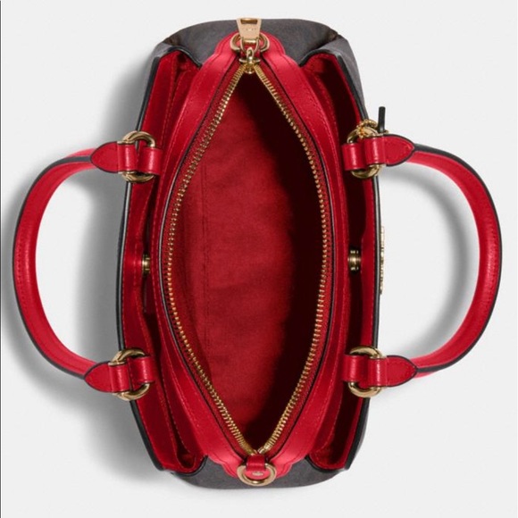 Coach Mini Lillie Carryall ✨NWT✨ - Picture 3 of 4